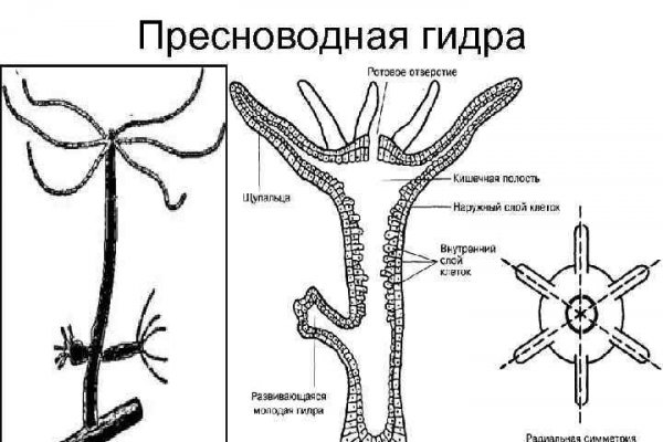 Регистрация кракен