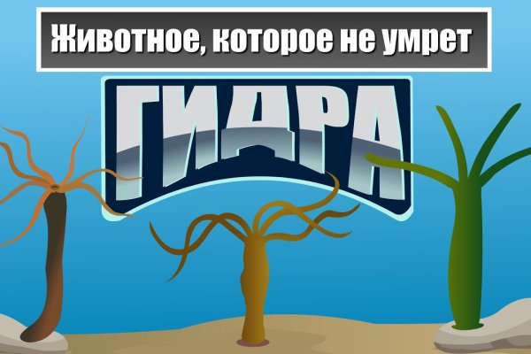 Kraken маркетплейс kr2web in